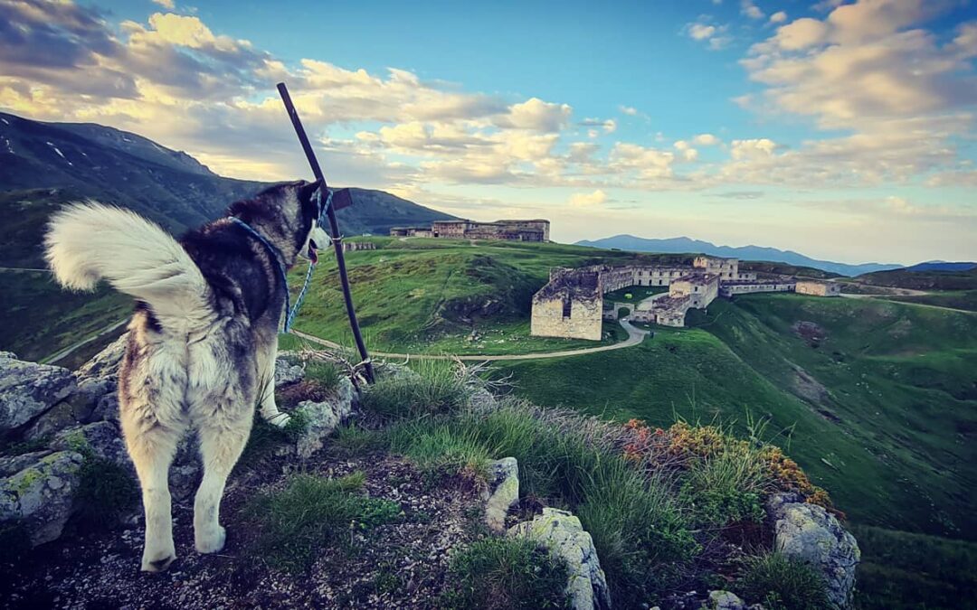 Trek des Forts Italiens – Alpes-Maritimes – France