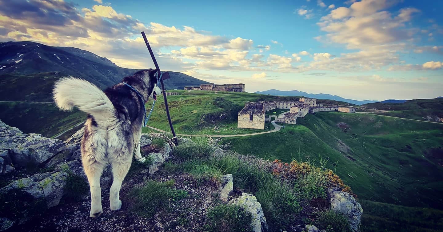 The central fort camp monitored by Mishka